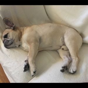 Meet your Posher, Amelia